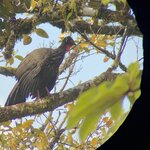 Photo taken by Jaya C