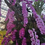 Photo taken by Sabiha K