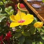 Photo taken by Judi S