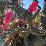 Photo taken by Reid S