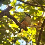 Photo taken by Linda P