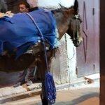 Photo taken by Laura S