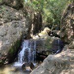 Photo taken by Sharon N