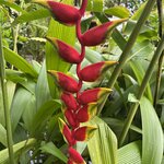 Photo taken by Chris G