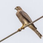 Photo taken by Graham D