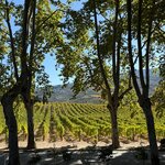 Photo taken by Keri G