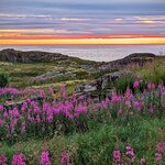 Photo taken by Dani L