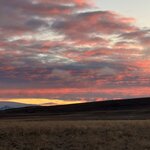 Photo taken by Donn S