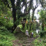 Photo taken by Joanna K