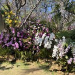 Photo taken by hazel S