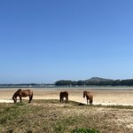 Photo taken by Anil C