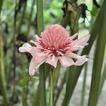 Photo taken by Sarah C