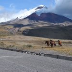 Photo taken by Natascia V