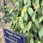 Photo taken by michelle K