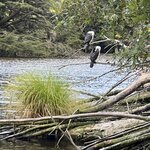 Photo taken by Nick M