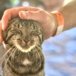 Photo taken by Sophie F