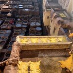 Photo taken by Tiffany M