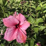 Photo taken by Kenya C