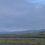 Photo taken by Nina S