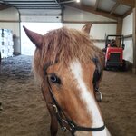 Photo taken by Amy C