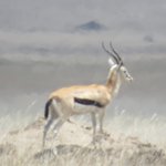 Photo taken by Kristin M