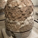 Photo taken by Lori H