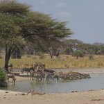 Photo taken by Kristin M