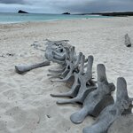 Photo taken by Maggie K