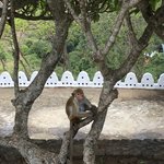 Photo taken by Wendy T