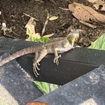 Photo taken by Victoria C