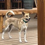 Photo taken by Cynthia C