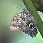 Photo taken by Brooke M