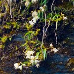 Photo taken by Ziyad H