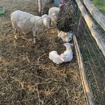 Photo taken by Mary H