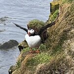 Photo taken by Tom B