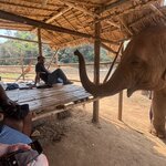 Photo taken by Leslie S