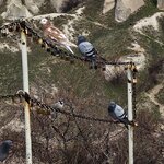 Photo taken by Rita W