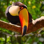 Photo taken by Dennis H