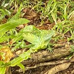 Photo taken by Kim L