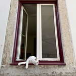 Photo taken by Mindy H