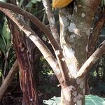 Photo taken by Kathy K