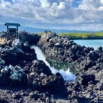 Photo taken by Katarzyna W