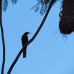 Photo taken by RyanandLisa M