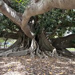 Photo taken by Randall D