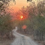 Photo taken by Tom B