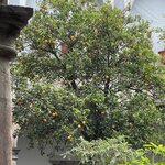 Photo taken by Priya R