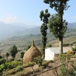 Photo taken by Peter S