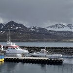 Photo taken by Tom B