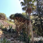 Photo taken by Michael M