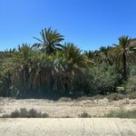 Photo taken by Logan J